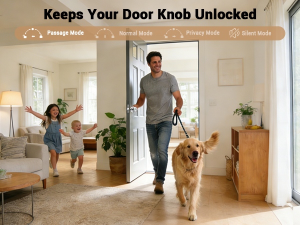 electrical door knob