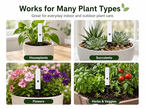 Works for Many Plant Types