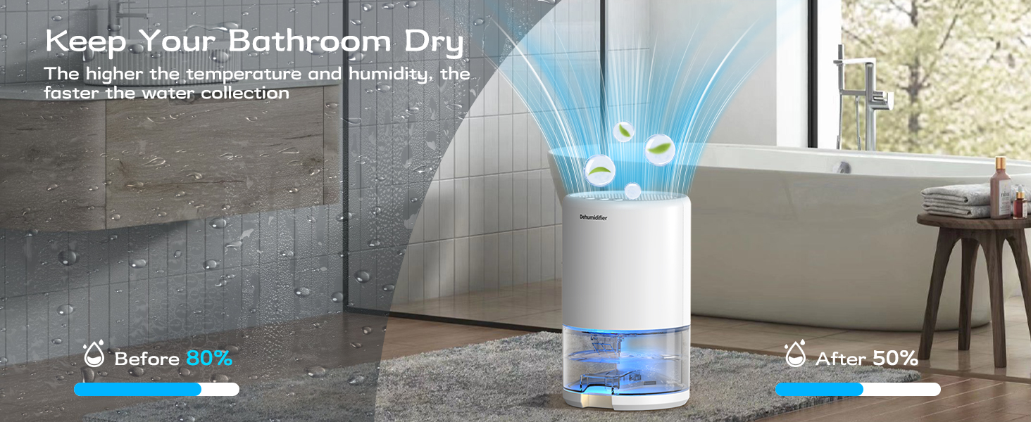 dehumidifiers for home