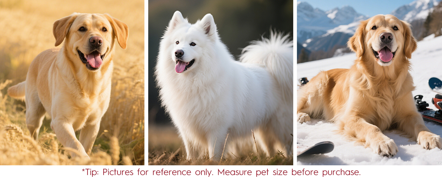 Bruvoalon Dog Harness Comes with Precise Sizing for Large - Sized Dogs