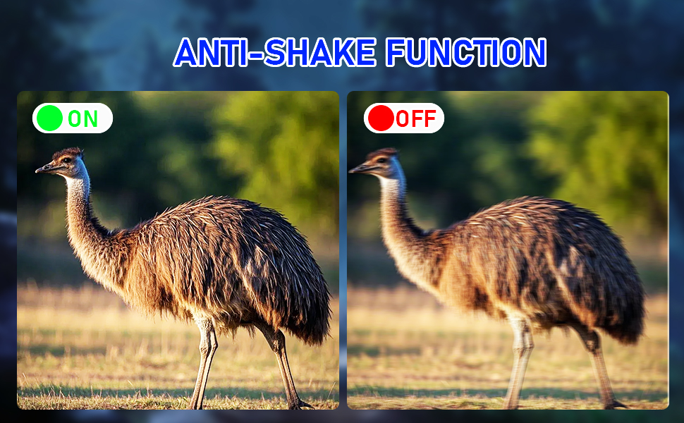 night vision binoculars military