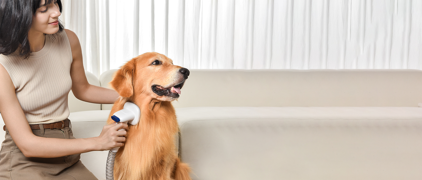 Dog Grooming Vacuum and Dryer Kit