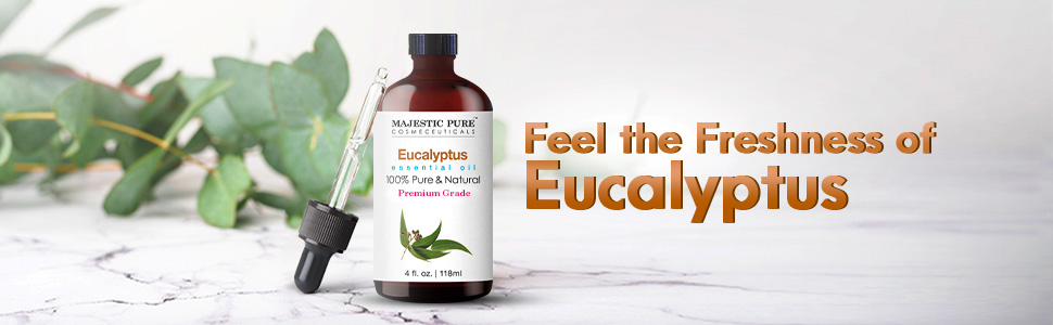 majestic pure eucalyptus essential oil