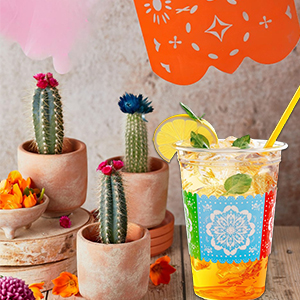 Margarita Drinkware