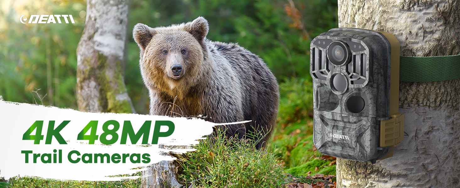 4K HD Video Resolution