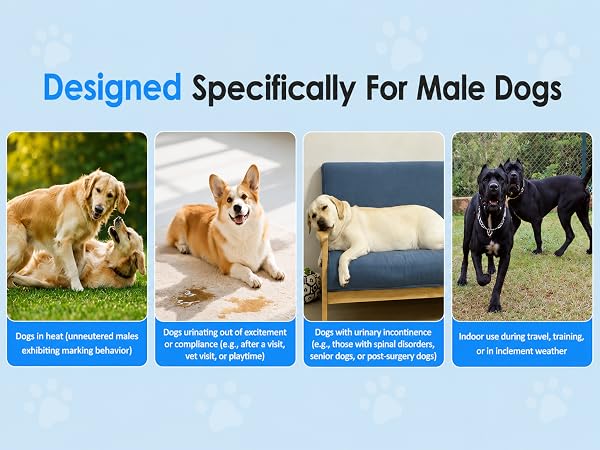 Designed Specifically For Male Dogs
