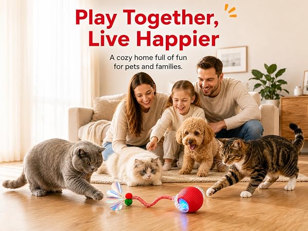 cat toys for indoor cats best sellers