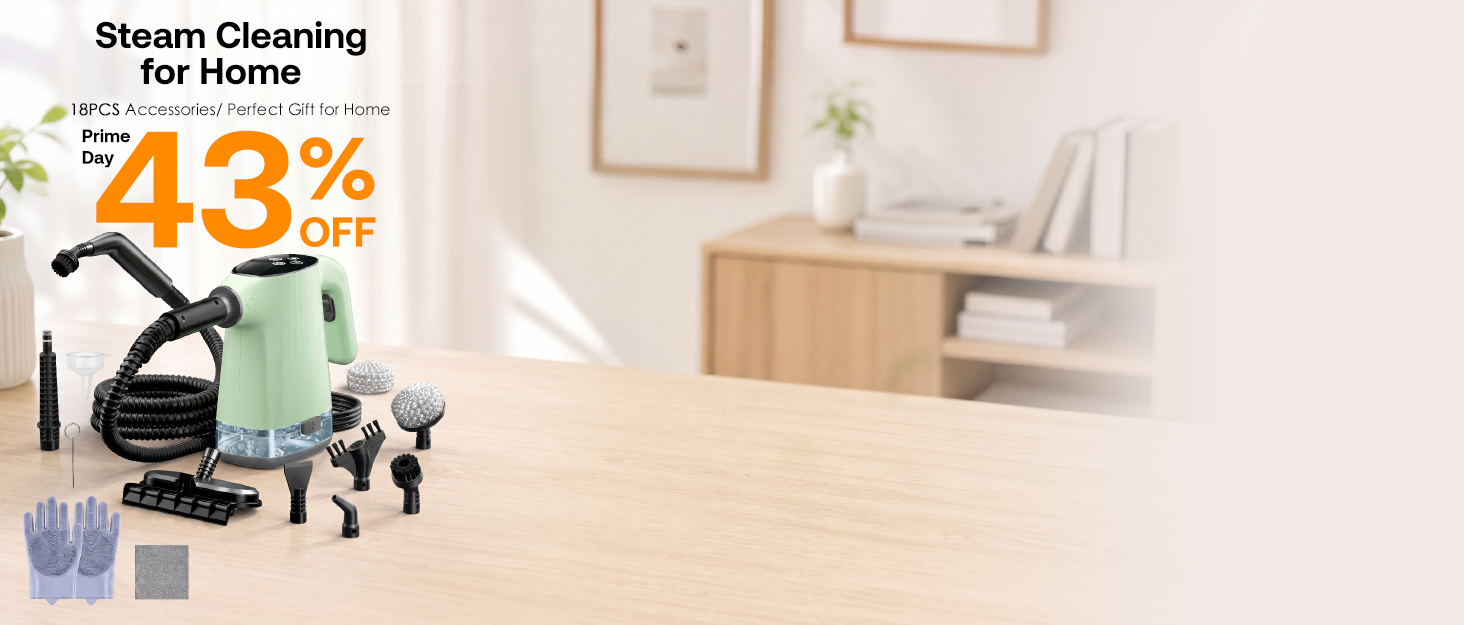 handheld steam cleaner