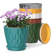 SQKH 6 Inch Plant Pots, 6 Pack Indoor Flower Pots, Planters with Drainage Holes and Trays for Orc...