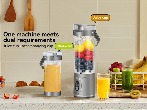Portable Personal Electric USB Juicer