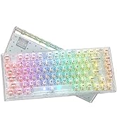 Womier 75% Percent Keyboard - Gasket Mount Mechanical Gaming Keyboard, S-K75 82 Keys Custom Keybo...