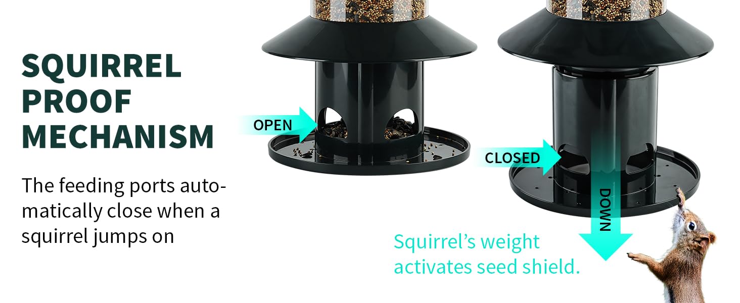 Squirrel-Proof