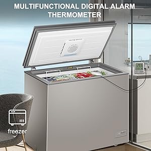 aquarium thermometer