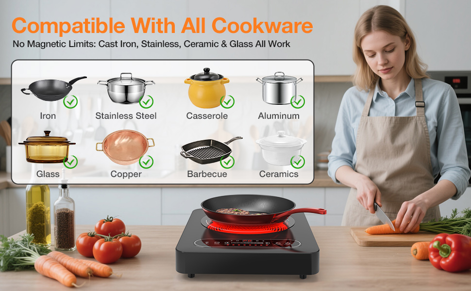 portable electric stove