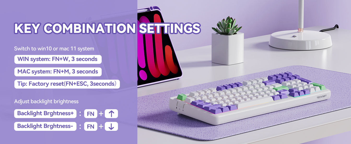 Wireless Mechanical Keyboard