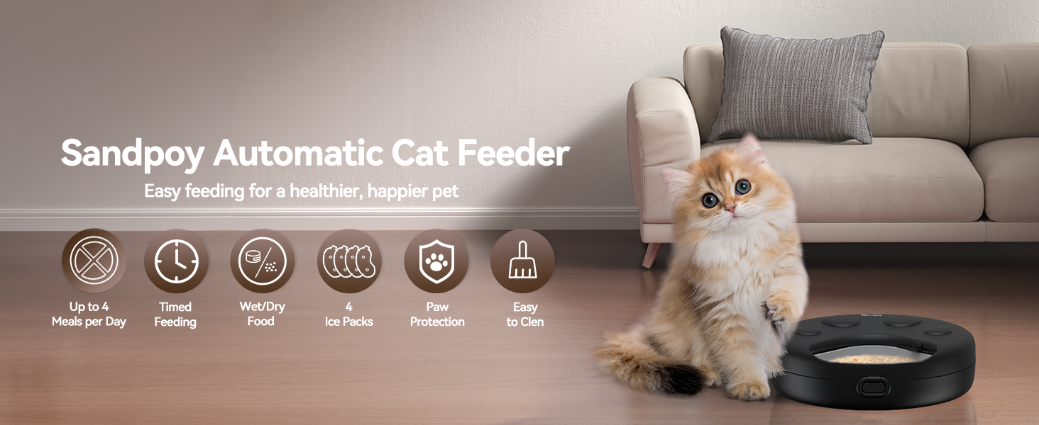 automatic cat feeder wet food