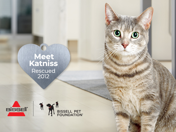 Every Purchase Saves Pets