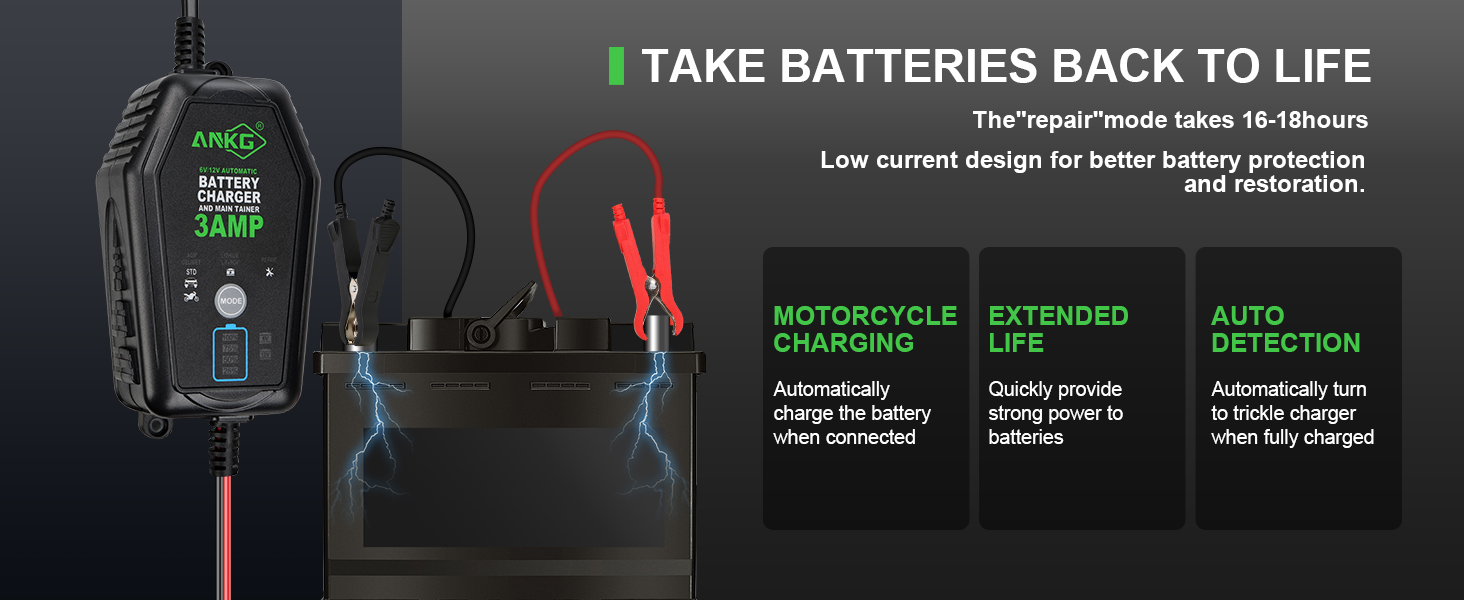 3 Amp Battery Charger