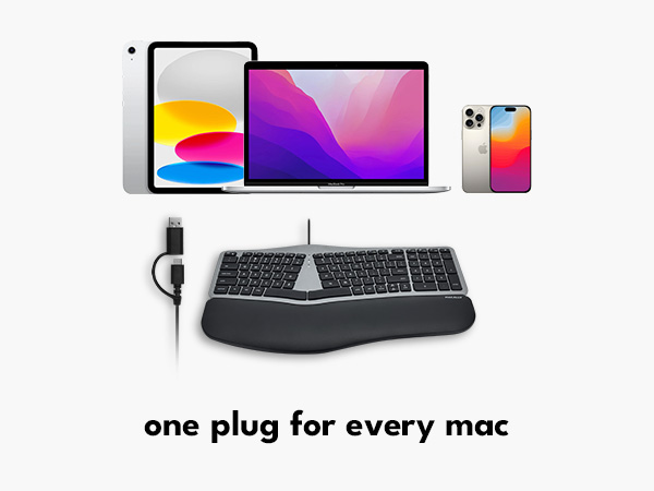 one plug
