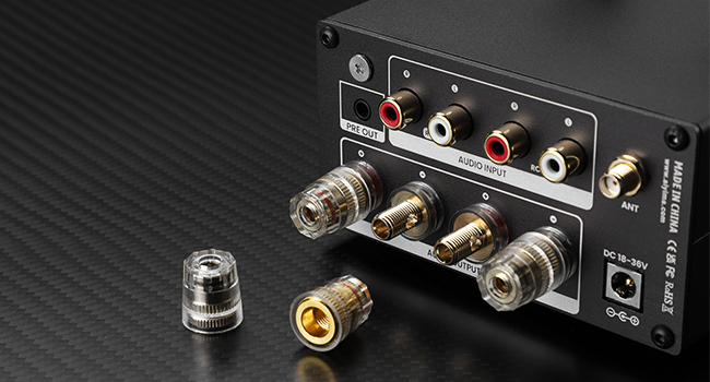 AIYIMA Audio amplifier