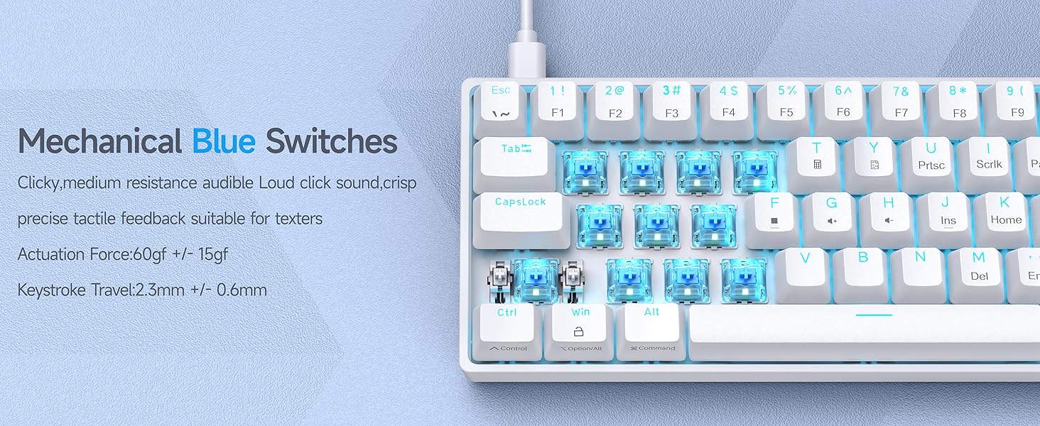 DK61SE- Blue Switch