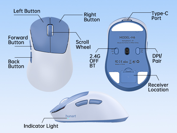 H6 mouse