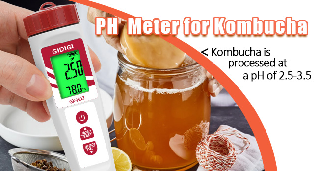 PH for kombucha