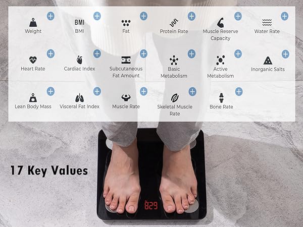 IF1131D Compostion Value Mobile