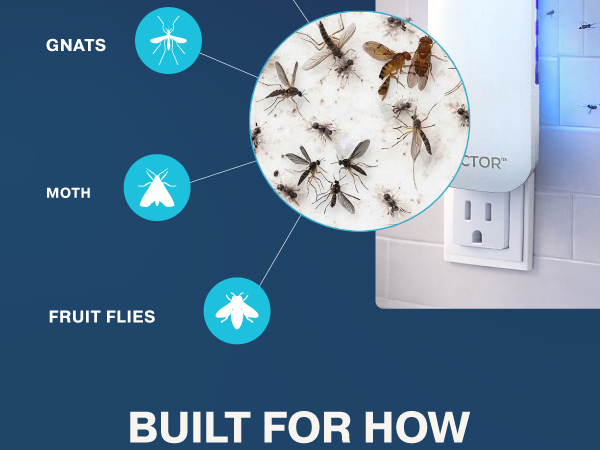 Vector fly trap lifestyle graphic shows home, classroom, and cafe uses under Built for How You Live.