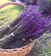 Lavender Flowers Bundles