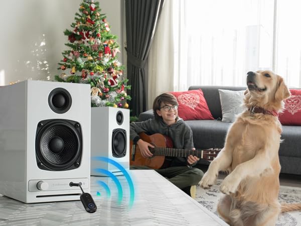 Bluetooth adapter for stereo receiver