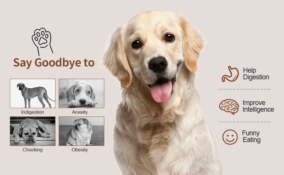 dog food bowls