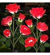 Etre Jeune Solar Garden Lights, Solar Outdoor Lights with More Realistic 10 Rose Waterproof Solar...