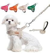 BEAUTYZOO Dog Harness for Small Dogs, No Pull Dog Harness and Leash Set, Soft Escape Proof Puppy ...