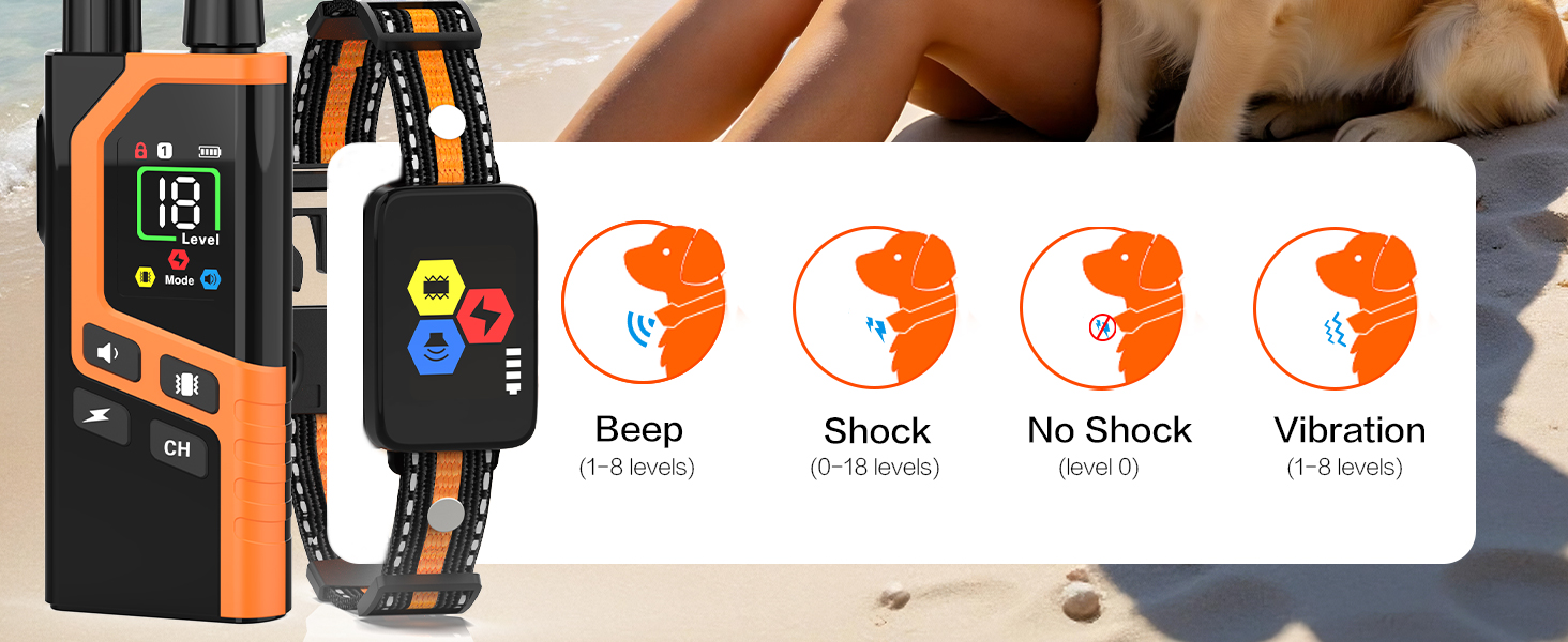 dog shock collar