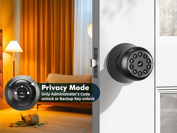 Privacy Mode Smart Lock