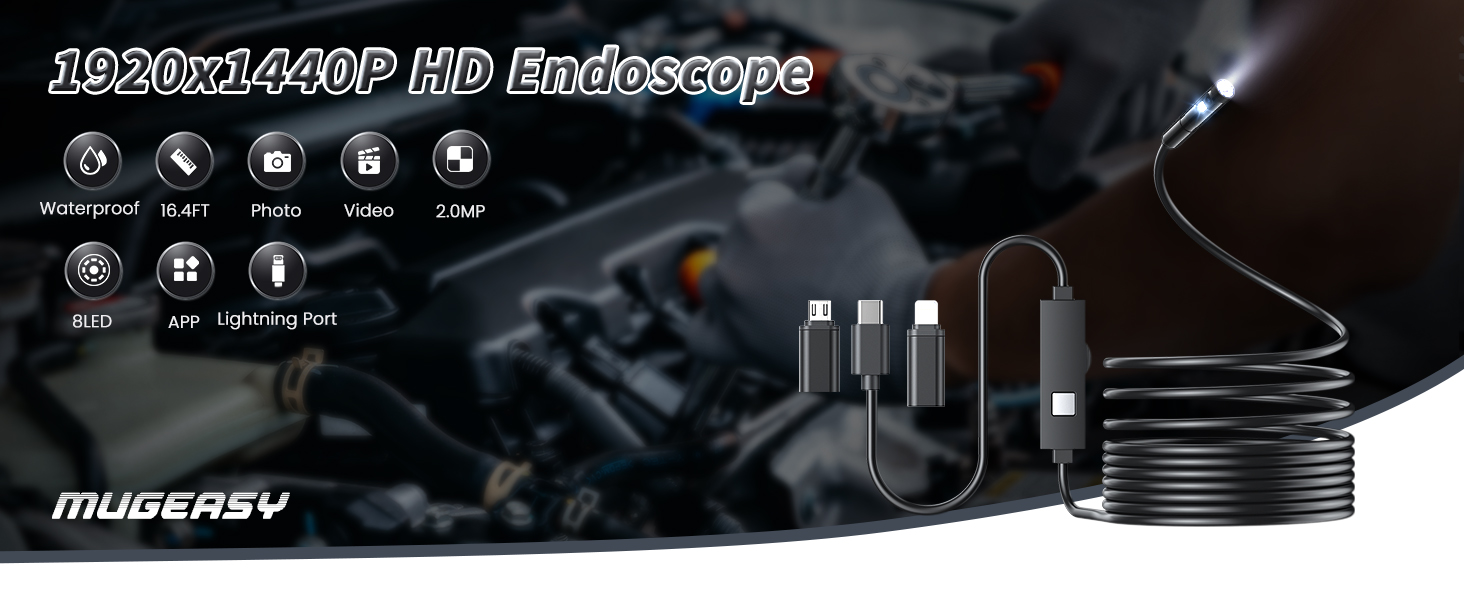 endoscope