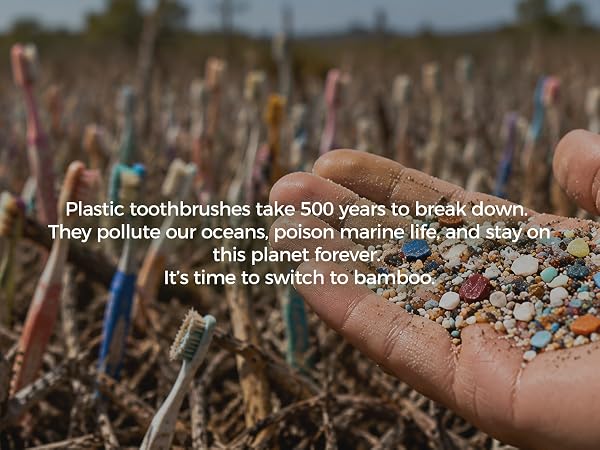 bamboo toothbrush