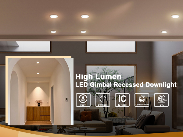 Gimbal Downlight