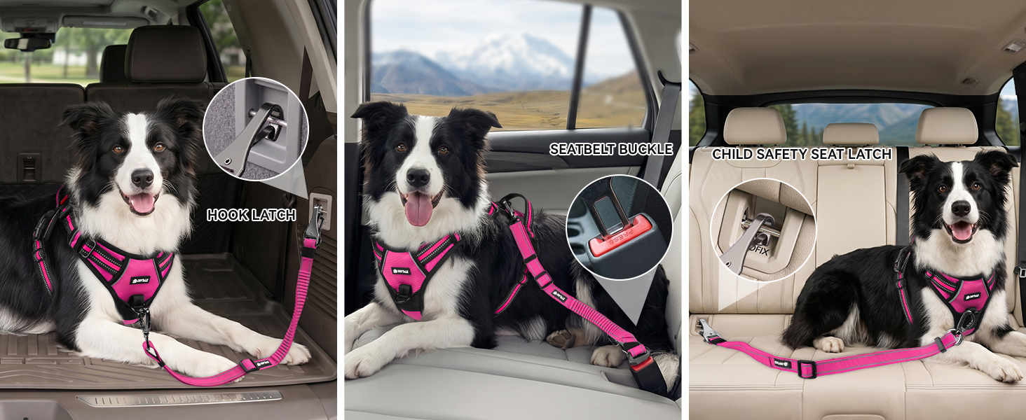 dog seat belt for car