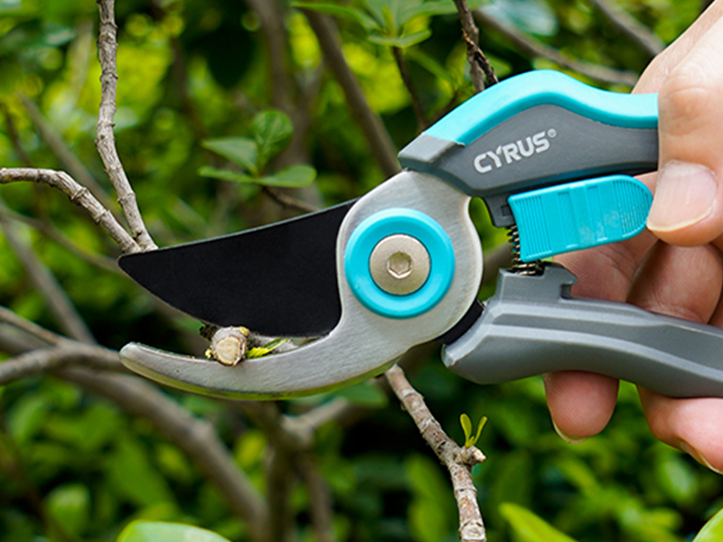 shears