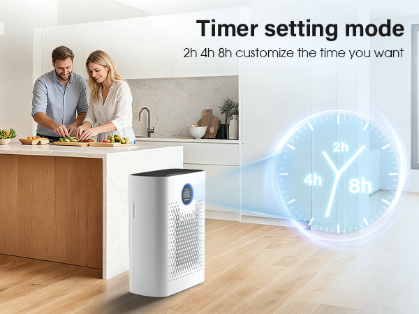 air purifier for dust