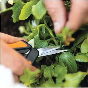 Close up of Micro-Tip Pruning Snips sharp blades