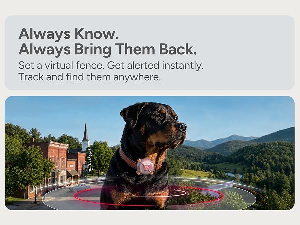 Dog &amp;amp; Cat GPS Tracker