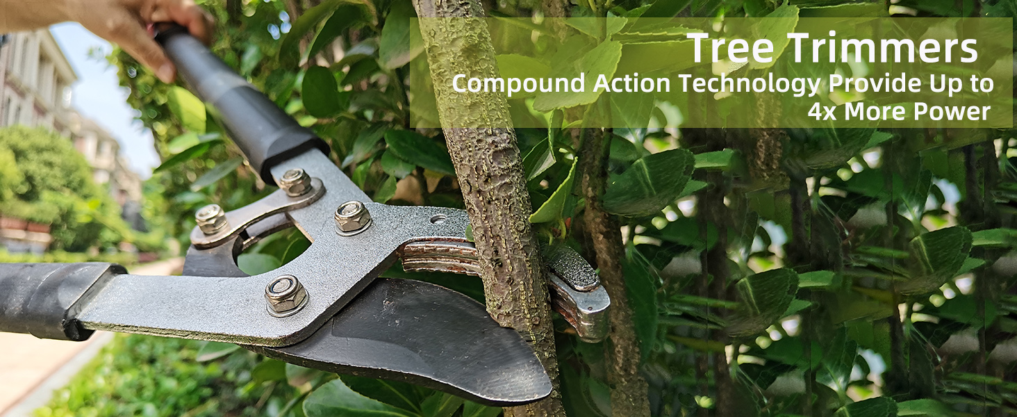 1464x600 25" loppers