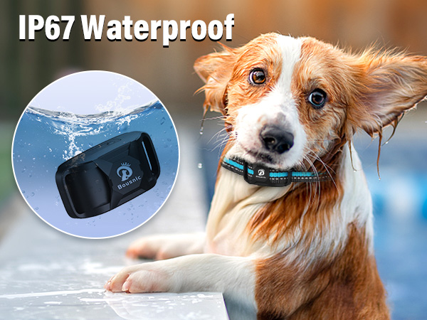 shock collar for dogs 40-60 lbs waterproof