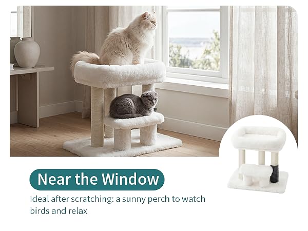 Cat Scratching Post