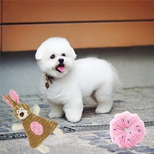 2 squeaky toys for puppy