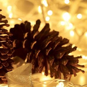 white christmas lights