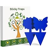 Fruit Fly Traps, 100 Pack Green Sticky Traps, Fungus Gnat Traps, Plant Fly Stickers for Indoor an...